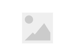 社會責(zé)任報告(蓋章后轉(zhuǎn)為PDF公示）
